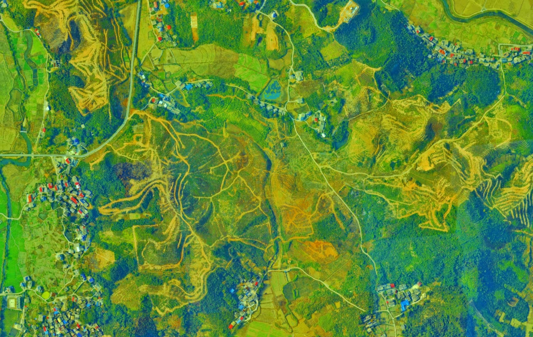 111.jpg